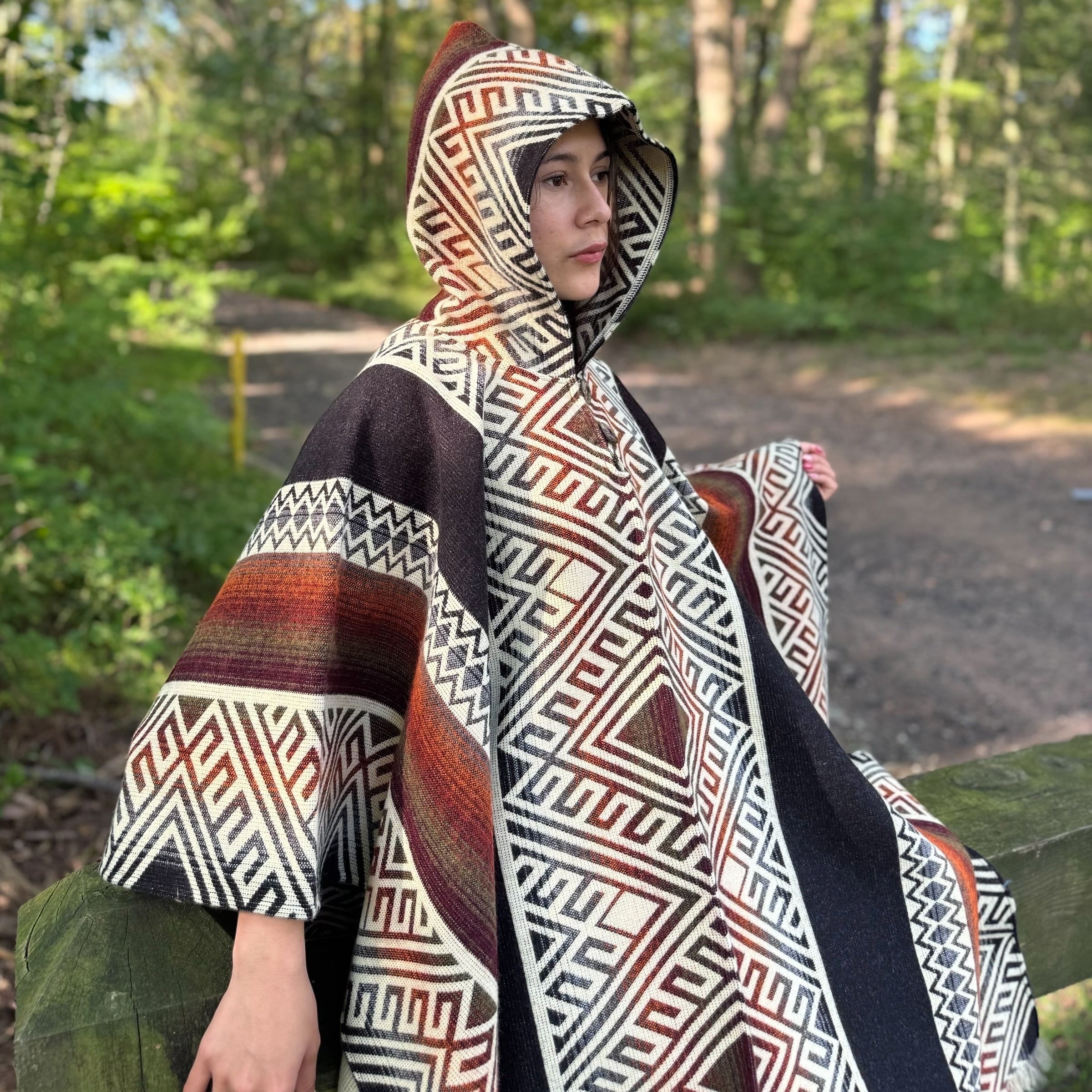 Dahlia pinnata Alpaca Poncho